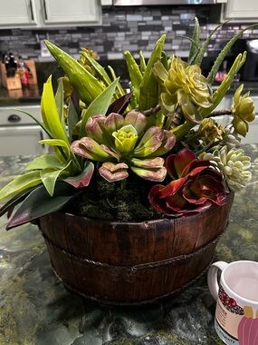 Succulent Barrel Arrangement -Green & Red Large rustic wood barrel planter 15x16